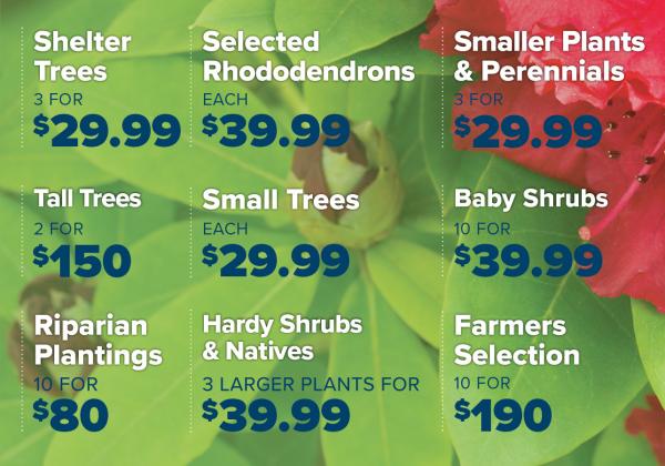 BMN 25149 Annual Sale Prices Website 1285W v1